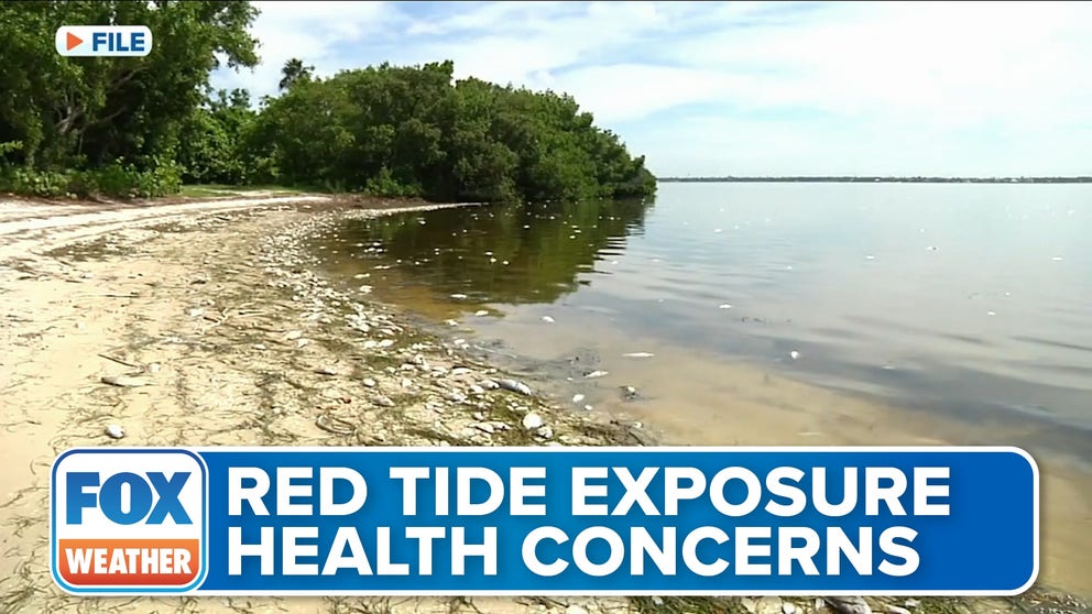 Lee Health’s Chief Medical Officer Dr. Iahn Gonsenhauser discusses the health impacts that red tide has and its impact on pets as well. 