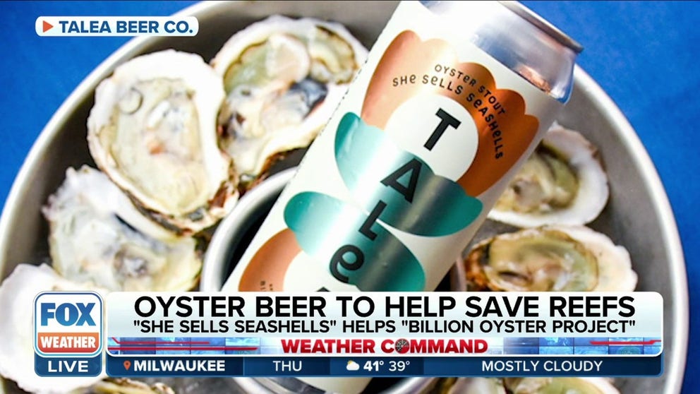 It may seem unusual to some people to use oysters or oyster shells to create a new beer, but that's exactly what one New York City brewery did, and it's helping the environment.