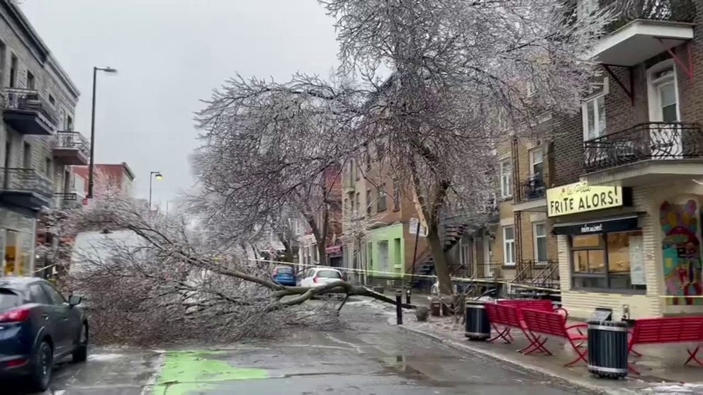 Footage by Nicolas Martineau captured the scene in East Montreal, where trees, frozen by the rain, snapped and fell. Martineau’s video shows a section of a street cordoned off with tape.