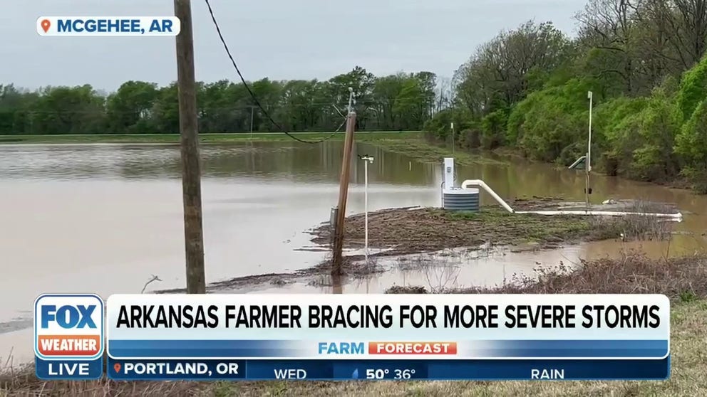 Matt Miles, a fourth-generation farmer and owner of Miles Farms in southeast Arkansas, grows corn, soybeans, rice and cotton. His crops were destroyed during recent rainfall and flooding causing him to have to replant this week. He joined FOX Weather to discuss what he says "is the worst thing that can happen to a farmer." 