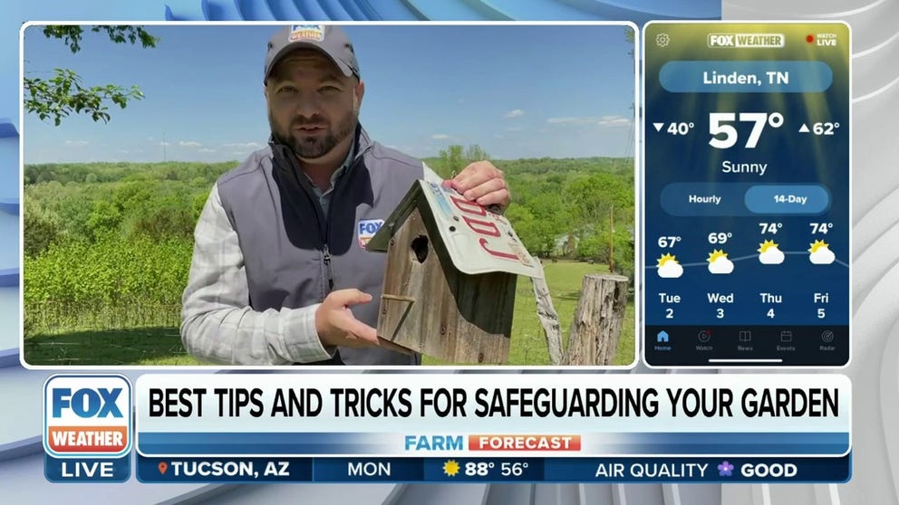 FOX Weather's Will Nunley shares tips and tricks on how to best protect your garden space from animals and pests.