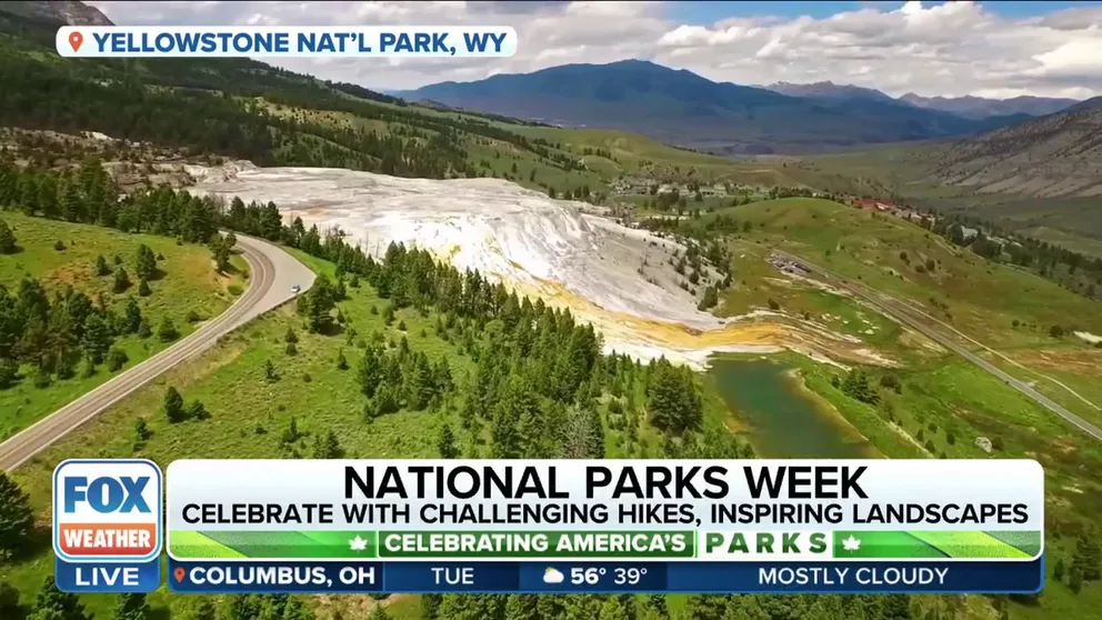 FILE VIDEO: Global Tourism Reporter at Skift Dawit Habtemariam discusses some of the best national parks to visit on each coast, how to best prepare for a visit and best hiking practices where it could be 40 degrees warmer at the base of the mountain.