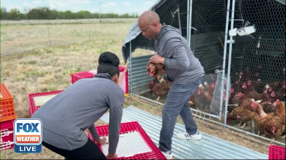 Joy and J.D. Hughes gave up a life in Los Angeles to raise their family on a farm in Oklahoma. Through hard work and the help of their Kubota tractor, they started a thriving chicken farm. 