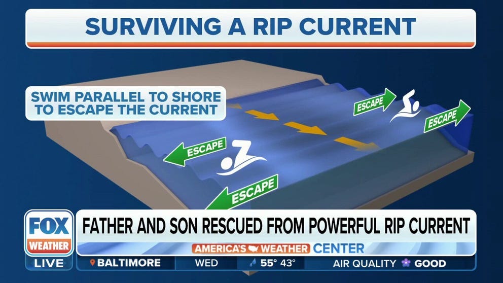 American Lifeguard Association spokesperson Wyatt Werneth provides the best rip current safety tips after a father and son were rescued in Florida. 