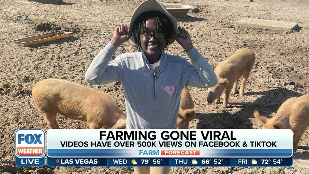 Following the loss of her grandmother, 23 year-old Zakaya Butler has harnessed the power of social media to help her grandfather save the struggling family farm. FOX Weather multimedia journalist Will Nunley on how Butler learns to be a businesswoman and farmer at the same time. 