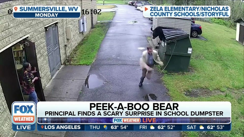 A West Virginia school principal encountered a bear in the school's dumpster on Monday. Wildlife Expert and Host of Mutual of Omaha’s Wild Kingdom Peter Gros tells FOX Weather why bears make appearances in populated areas and explains the importance of locking containers with food.  