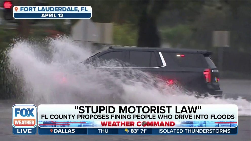 Florida Councilman Danny Robins joins FOX Weather to discuss Volusia County's proposed ordnance that would fine motorists who drive into floodwaters.