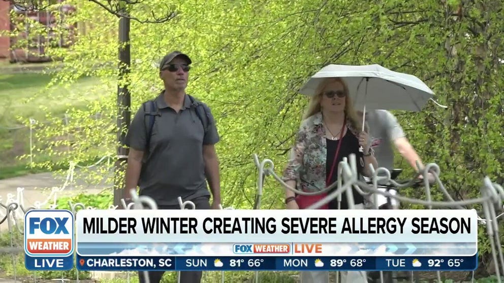 Millions are feeling allergy season more intensely due to mild winter