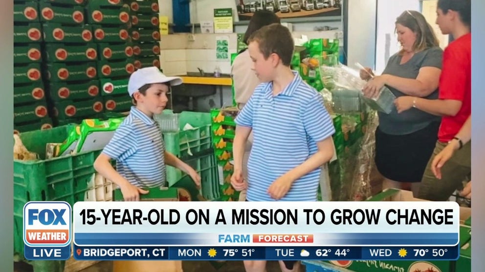 Founder of the nonprofit Growing Peace Inc. Steven Hoffen joins FOX Weather to give insight into why he advocates for hydroponic plants and his work to help communities gain access to healthy produce through these plants.