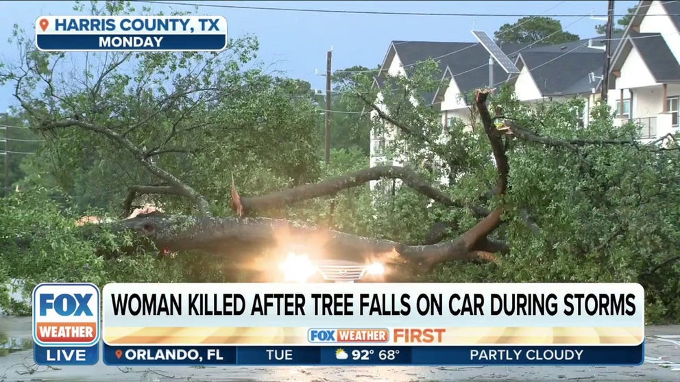 One woman is dead after a tree fell on her vehicle during Monday’s evening thunderstorms in Harris County, Texas.  