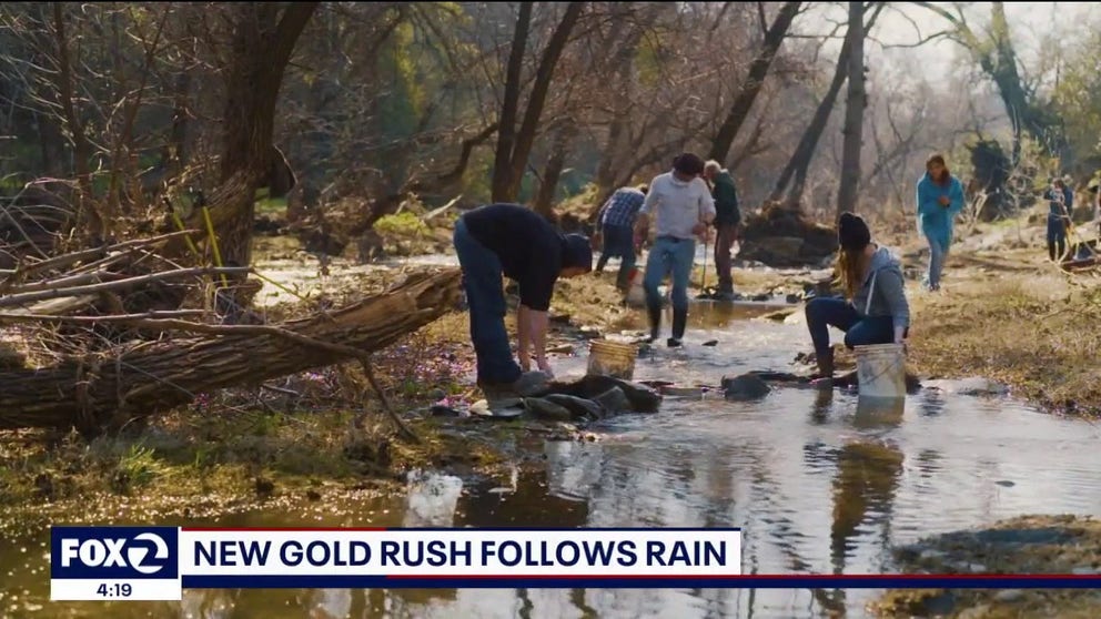 FILE VIDEO: The series of atmospheric river storms dumped historic amounts of rain and snow on California and gold prospectors are flocking to the state. KTVU FOX 2 sat down with Geology Professor Johnathan Miller of San Jose State University to find out why.