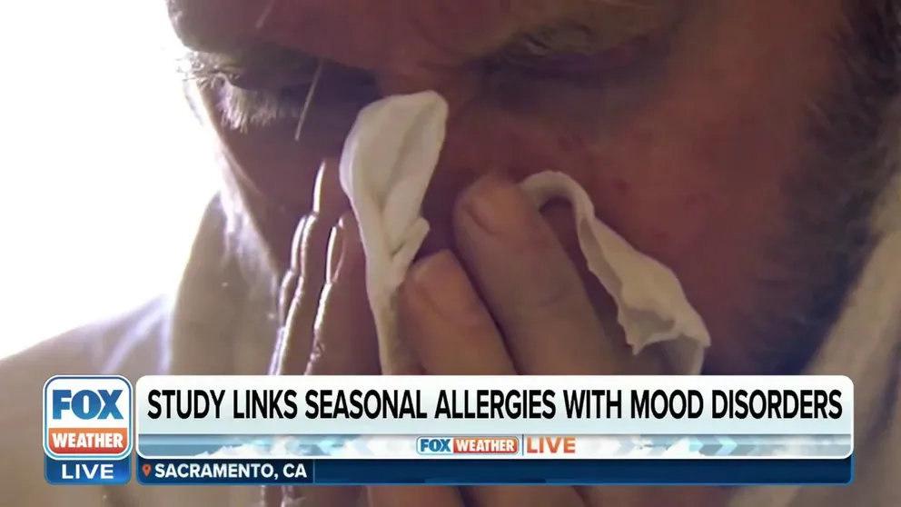A recent study suggests that seasonal allergy sufferers  also suffer more from mood disorders like anxiety and depression. FOX 5 New York talked to doctors to find out why.