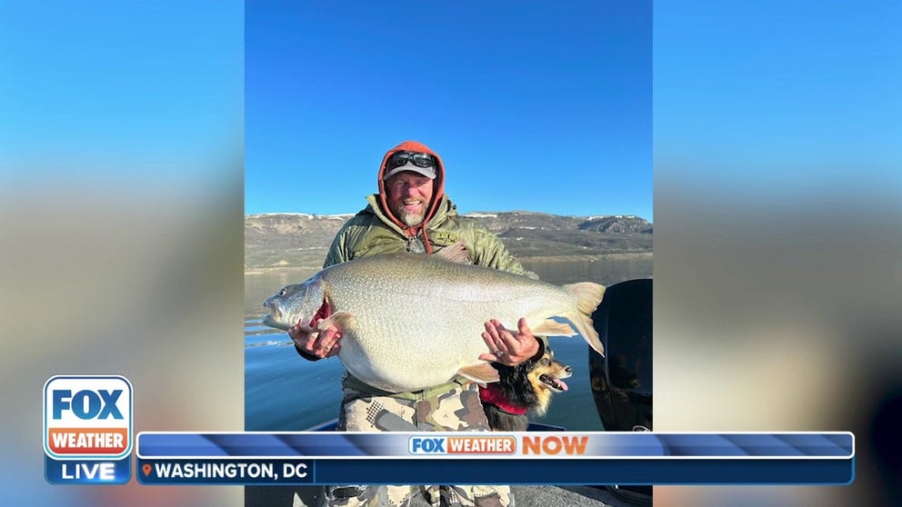 Fisherman Scott Enloe joined FOX Weather and discussed reeling in a possible record-breaking trout on Colorado’s Blue Mesa Reservoir. Enloe noted the whopper of a trout was double the size of a fish his son caught earlier in the day. 
