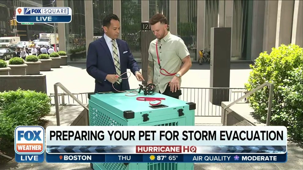 Celebrity Dog Trainer Tom Davis joined FOX Weather to discuss the importance of having an emergency plan and kit for your pets. 