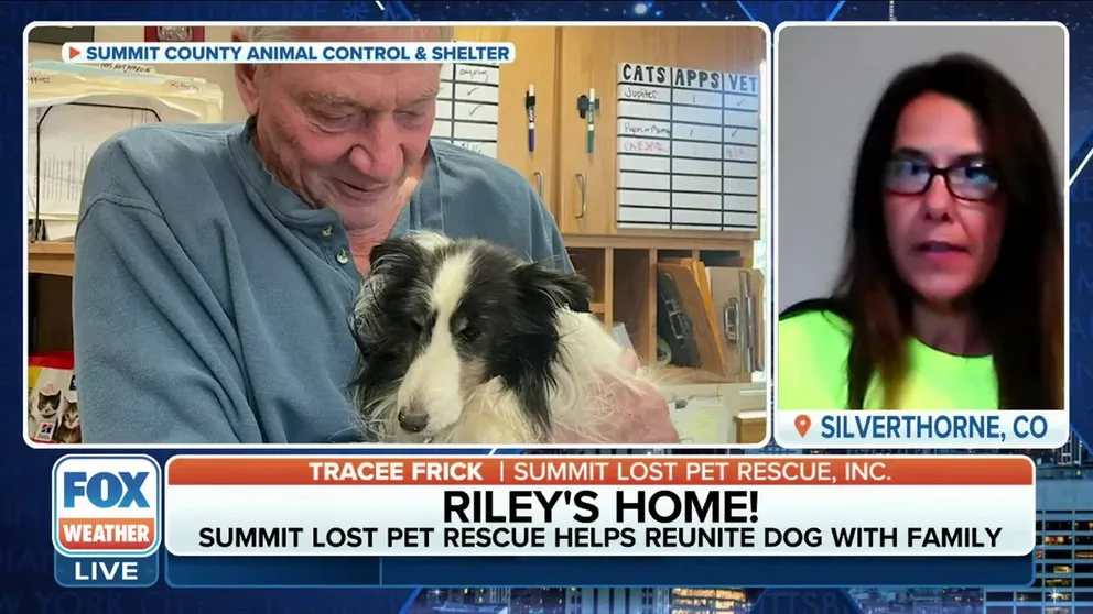 Riley can thank his new-found hero for saving his life and continue those late-night snuggles with his owner. 