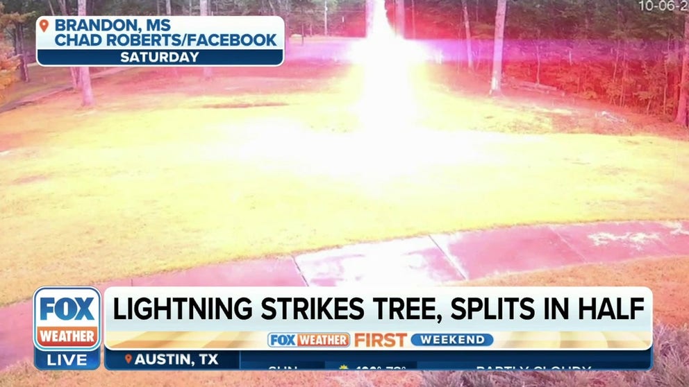Cameras were rolling at a home in Brandon, Mississippi, when a bolt of lightning struck a tree and split it in half on Saturday, June 10.