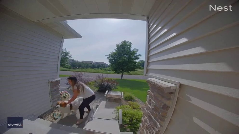 A doorbell camera caught a showdown between an unlikely hero and a black bear. The family chases down the bear in the front yard. The bear runs up a tree but Max the dog doesn't give up. Eventually, the bear runs off.