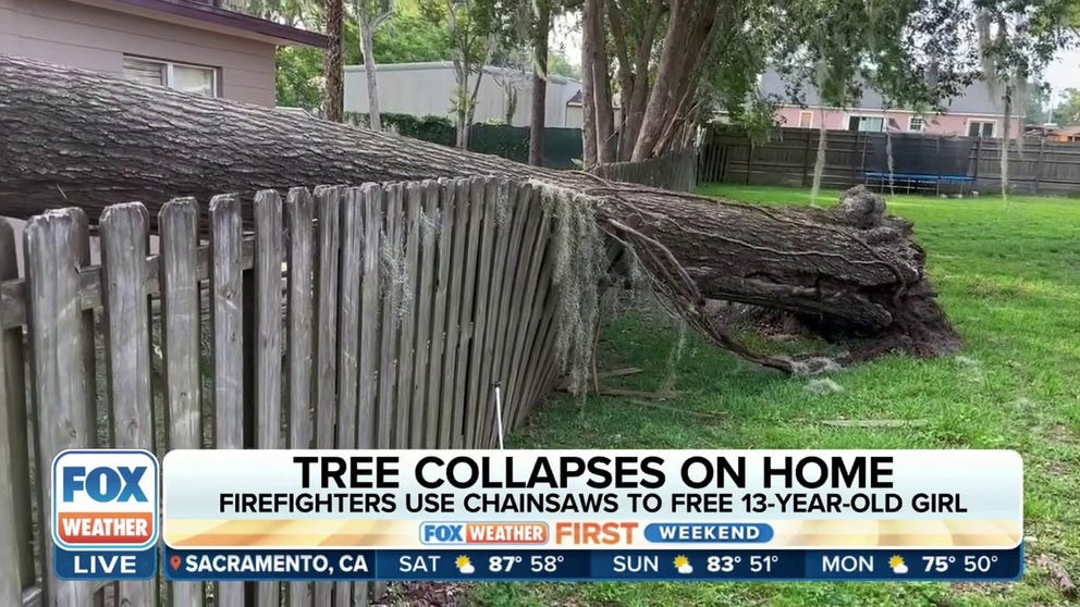 A child was rescued by firefighters after being trapped under a tree that fell through the roof of their family's home early Friday morning. Ocala, Florida, firefighters said they were dispatched to reports of an entrapment in a home around 3:19 a.m. at the 3700 block of SE Eighth St. 