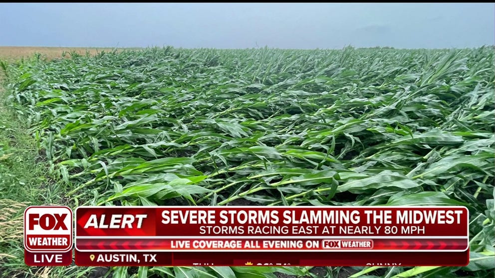 A line of severe storms with damaging wind gusts and embedded tornadoes moved through Illinois and Indiana on Thursday. Meteorologist Andrew Pritchard said the damage did not to be as extensive as the August 2020 derecho.