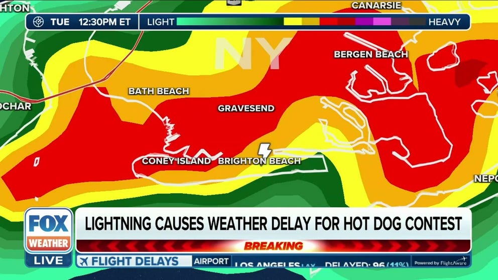 Strong thunderstorms have forced at least a delay but may have canceled the men's division of the famous Nathan's Hot Dog Eating Contest in Coney Island, New York.