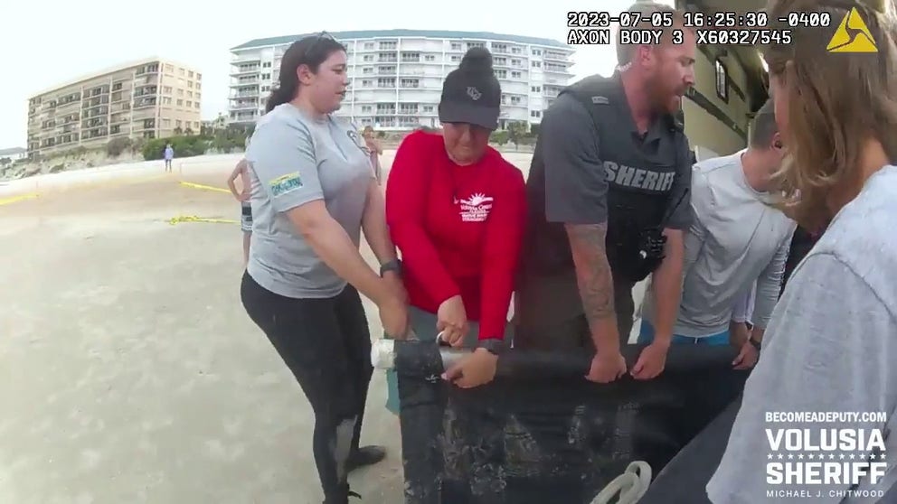 A manatee was found stranded on a beach in Volusia County, Florida, on Wednesday, July 5. Bodycam footage released by the Volusia County Sheriff’s Office shows the team effort by at least 12 volunteers to hoist the manatee off the sand.