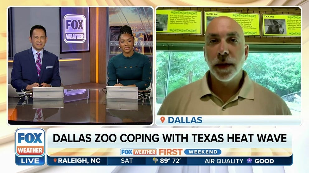 Texas has seen some dangerously high temperatures over the last couple of weeks. While it's easy for human to get into some AC to cool off, have you ever wondered what happens to the animals at your local zoo when the temperatures hit triple digits? For more insight on how zoo keep animals safe in extreme heat is Keith Zdrojewski, senior mammal curator at the Dallas Zoo. 