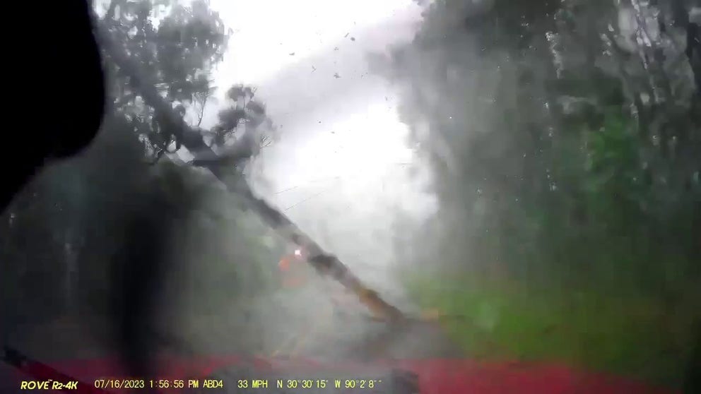 A Covington, Louisiana, man was injured last Sunday after a tree and power line fell on his car. His dashcam captured the terrifying event.