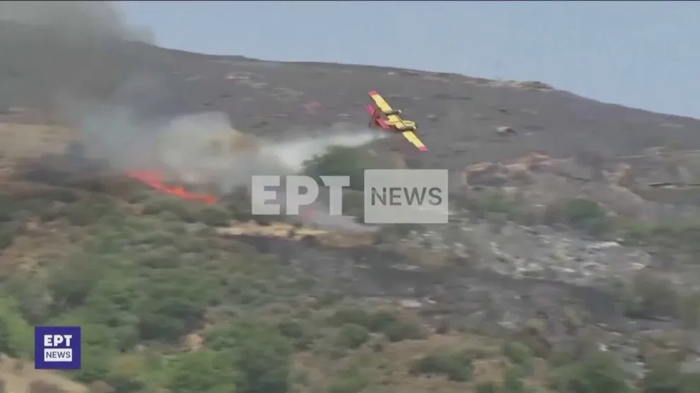A terrifying video captured the moment when a Greek firefighting airplane that was responding to a wildfire in Greece crashed and burst into flames on Tuesday, July 25, 2023.