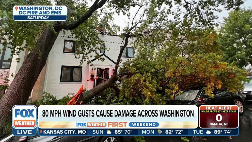 Severe thunderstorms packing damaging wind gusts swept across the Washington D.C. and northern Virginia areas on Saturday knocking out power to more than 250,000 utility customers.