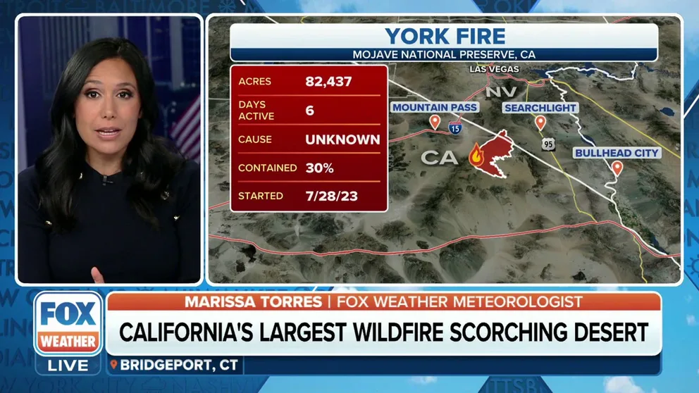 The York Fire in southeastern California has been burning for six days, sweeping through more than 82,000 acres, including those where the famous Joshua Trees grow. August 2, 2023.