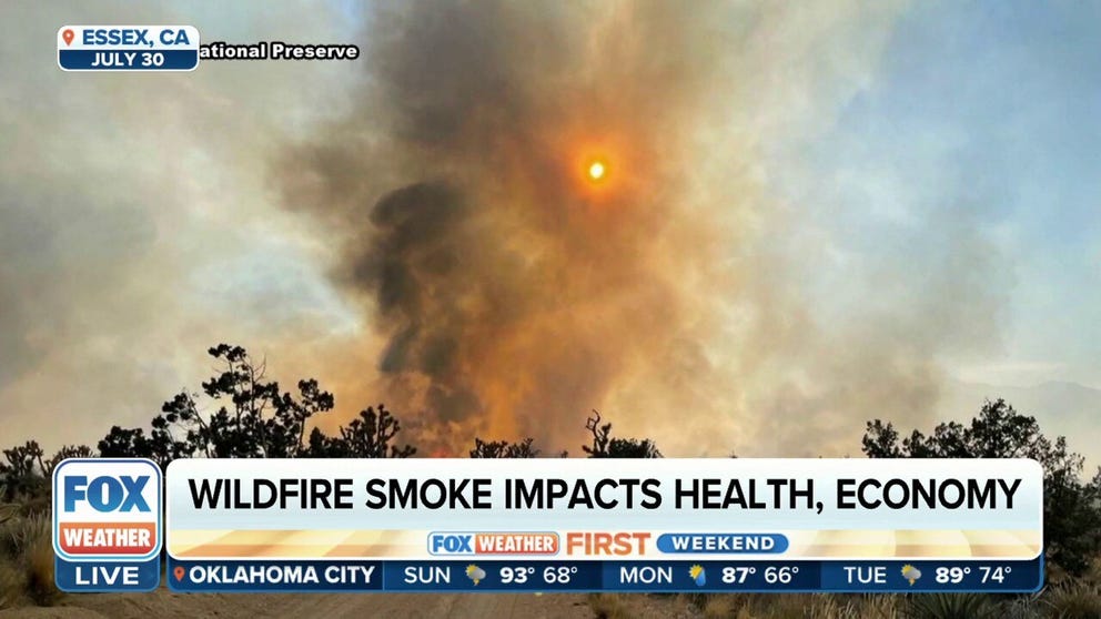 Smoke from raging wildfires could cost companies billions | Latest Weather Clips | FOX Weather