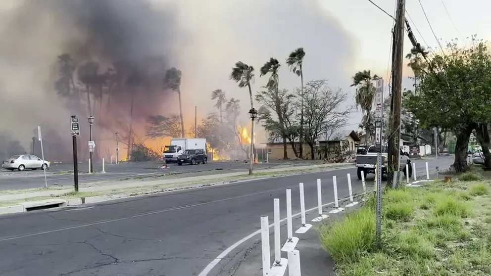Strong winds has carried debris from the wildfires in Hawaii. Video shows someone nearly being hit while crossing the road. 