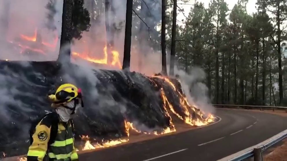 Firefighters can be seen battling the flames as they burn in a roadside forest. (Courtesy: Rosa Davila via Storyful)