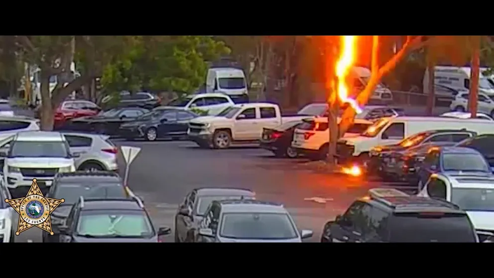 The Lee County Sheriff's Office in Florida shared video of a bolt of lightning hitting a tree near a car. (August 2023)