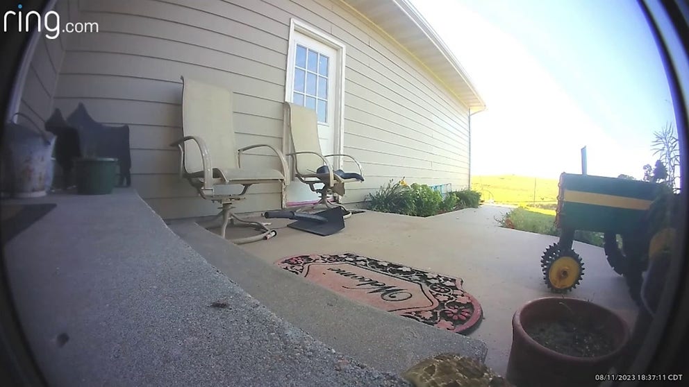 A video captures the moment a delivery man discovered a rattlesnake while dropping off a package at a home in Sumner, Nebraska. (Courtesy: Christie Jones / LOCAL NEWS X / TMX)
