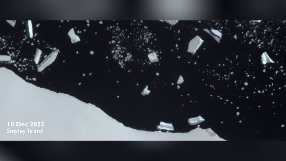 FILE VIDEO: Record-low levels of sea ice in western Antarctica in late 2022 led to the breeding failure of four emperor penguin colonies, according to a study published on Thursday. (Courtesy: European Commission, Copernicus SENTINEL-2 via Storyful)