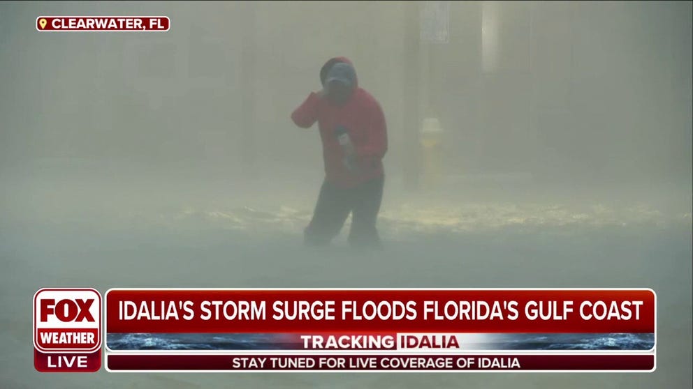 FOX Weather correspondent Robert Ray was nearly hit by a piece of palm tree while being blasted by strong winds and torrential rain during a report on Hurricane Idalia in Clearwater, Florida, on Wednesday morning.