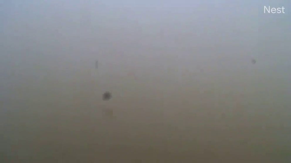 A remote camera set up on a bridge. Storm surge overwhelmed the camera. Listen to the sounds and take a look at the debris floating in the seawater.
