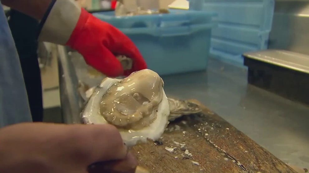 A 30-year-old man dies after eating raw oysters in Galveston. Officials warn that the heat wave and extremely warm Gulf waters cause deadly bacteria to thrive in shellfish.