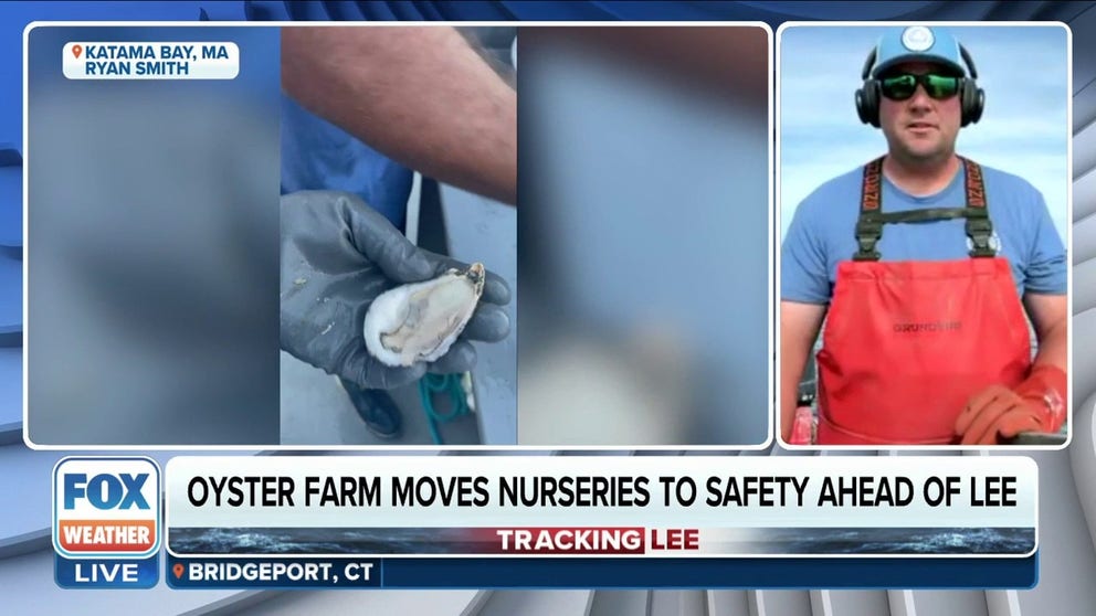 Massachusetts is in peak oyster season, and with Hurricane Lee on the way, oyster farms are making their final preparations before the storm. Ryan Smith, owner of Signature Oyster Farm and Tour, joins FOX Weather to talk about what his company is doing to prepare. 