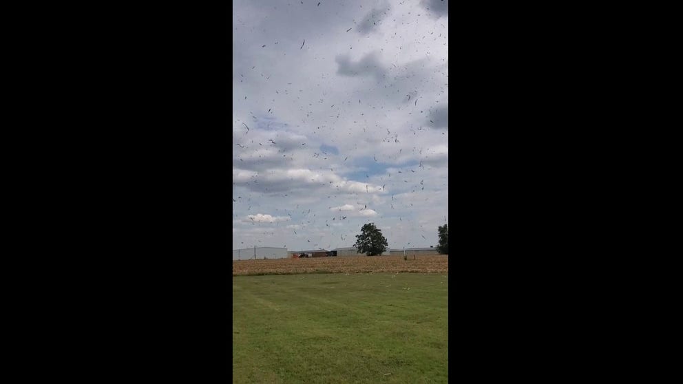 The National Weather Service in Topeka, Kansas, shared video of a 'corn devil' swirling through a freshly harvested field on Friday.