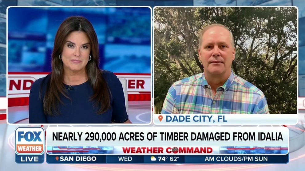 The preliminary assessment conducted by the Florida Department of Agriculture and Consumer Services revealed that the storm caused damage to 289,096 acres of timber, resulting in an estimated loss of $64,751,255 in value.