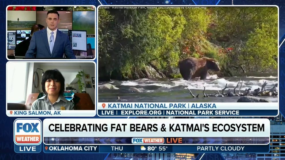 From Oct. 4-10, the bears of Katmai National Park and Preserve in Alaska will battle to see who is the burliest of them all, with fat bear fans from around the world choosing the winner online. Oct. 4, 2023.