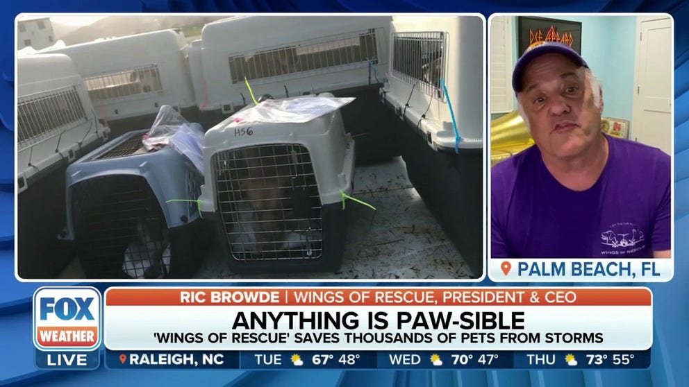 Wings of Rescue transports at-risk pets before disasters strike and are responsible for saving thousands of four legged friends from storms.