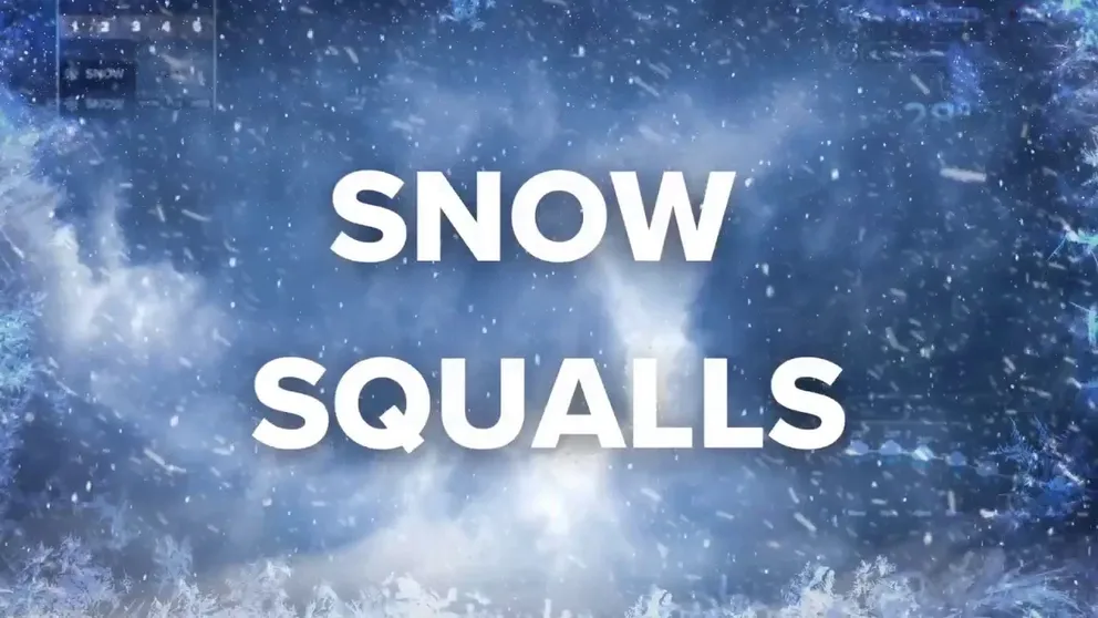 FOX Weather meteorologist Britta Merwin breaks down snow squalls and what causes them to dump heavy snow.
