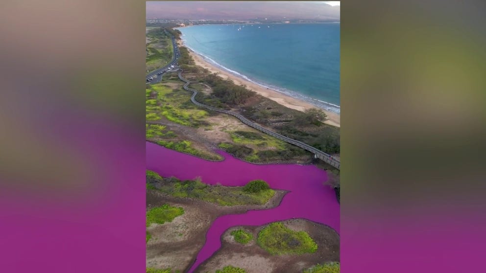 See it: Pond in Hawaii turns 'Pepto Bismol' pink and drought could