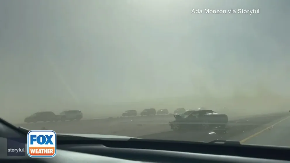 A dust storm caused low visibility and closed a section of Interstate 15 at the California-Nevada border on Sunday.