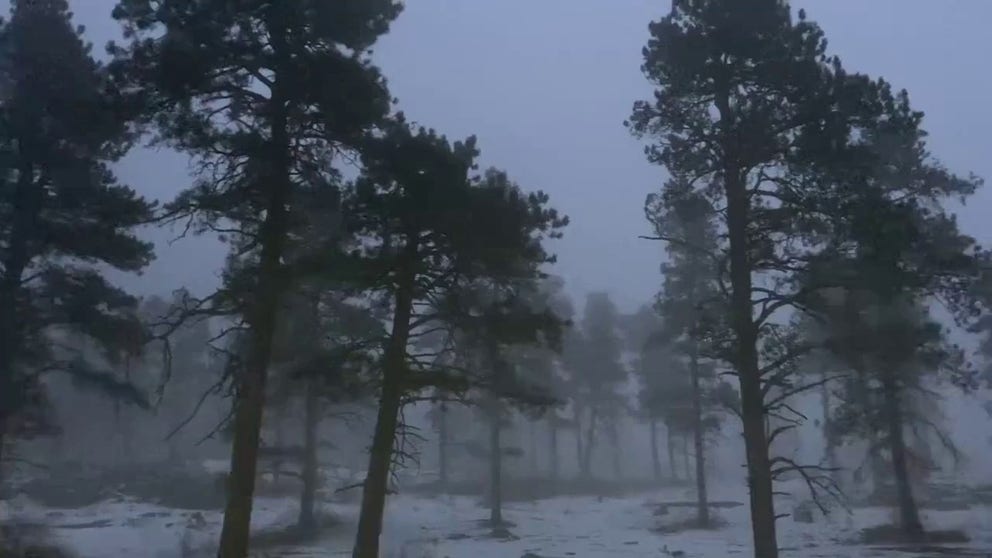 A Colorado park ranger captured footage of an idyllic winter landscape during an evening patrol amid snow and dense fog in Alderfer Three Sisters Park on Tuesday.
