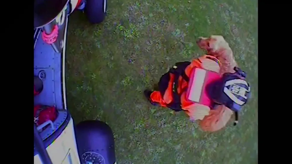 A dog fell off an Oregon cliff Monday. A Coast Guard rescue swimmer dropped down from a helicopter to rescue the dog. Watch until the end to see the emotional reunion of dog and owners.