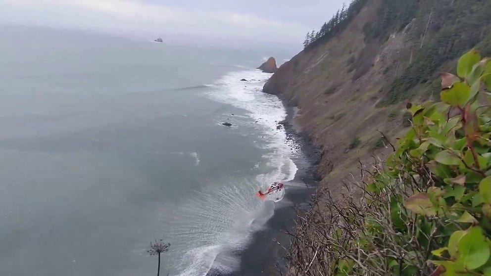 Watch as the Coast Guard reels in the basket with a rescue swimmer and a very lucky dog after the pup fell off a cliff at an Oregon beach.